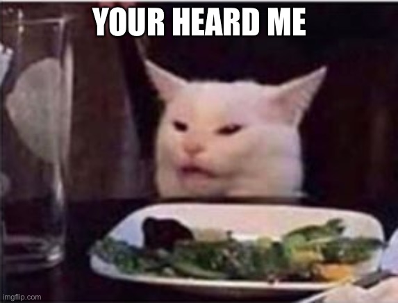 white dinner table cat | YOUR HEARD ME | image tagged in white dinner table cat | made w/ Imgflip meme maker