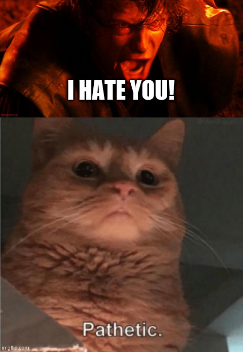 I HATE YOU! | image tagged in anakin i hate you,pathetic cat | made w/ Imgflip meme maker
