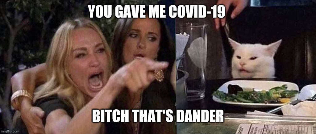 woman yelling at cat | YOU GAVE ME COVID-19; BITCH THAT'S DANDER | image tagged in woman yelling at cat | made w/ Imgflip meme maker