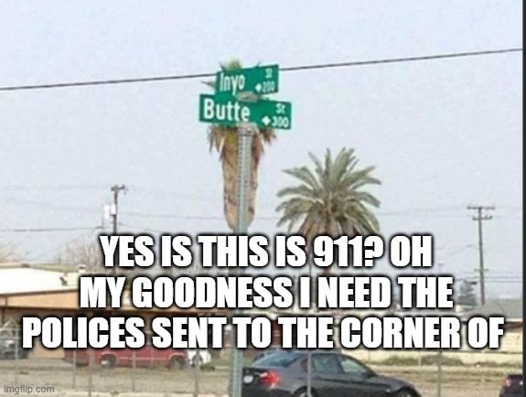 the corner of | YES IS THIS IS 911? OH MY GOODNESS I NEED THE POLICES SENT TO THE CORNER OF | image tagged in funny memes,funny | made w/ Imgflip meme maker