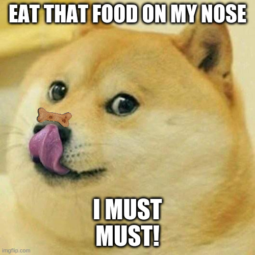 Doge Tongue | EAT THAT FOOD ON MY NOSE; I MUST
MUST! | image tagged in doge tongue | made w/ Imgflip meme maker