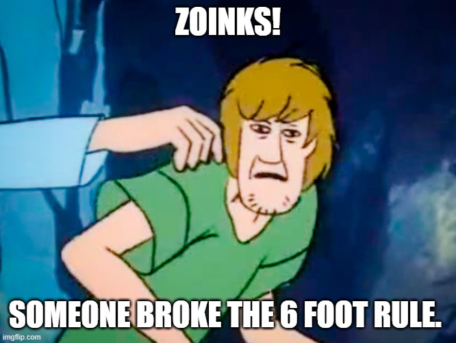 Shaggy meme | ZOINKS! SOMEONE BROKE THE 6 FOOT RULE. | image tagged in shaggy meme | made w/ Imgflip meme maker