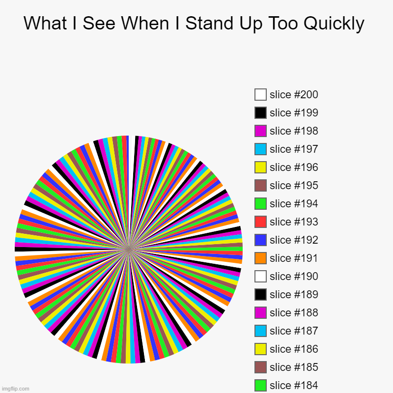 What I See When I Stand Up Too Quickly | | image tagged in charts,pie charts | made w/ Imgflip chart maker