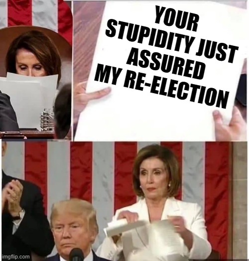 Nancy Pelosi rips paper | YOUR STUPIDITY JUST ASSURED MY RE-ELECTION | image tagged in nancy pelosi rips paper,democrat,republican,stupid,funny,memes | made w/ Imgflip meme maker