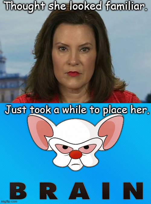 politics pinky and the brain Memes & GIFs - Imgflip