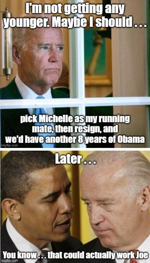 If Biden picked Octavia's Girl/boy/it friend as VP | image tagged in biden,obama | made w/ Imgflip meme maker