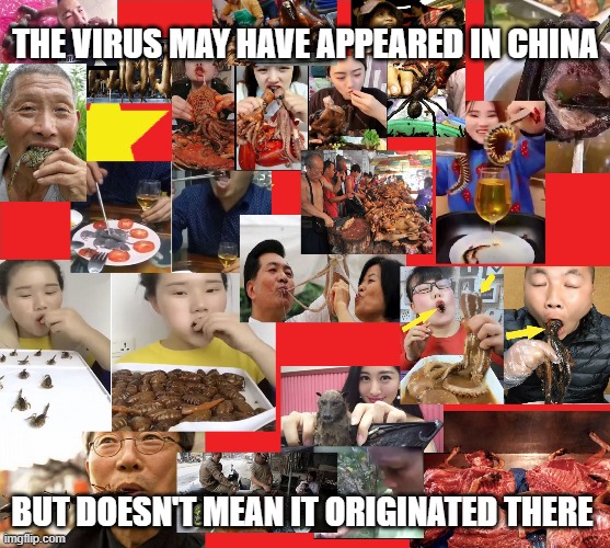 Chinese Virus | THE VIRUS MAY HAVE APPEARED IN CHINA; BUT DOESN'T MEAN IT ORIGINATED THERE | image tagged in chinese virus | made w/ Imgflip meme maker