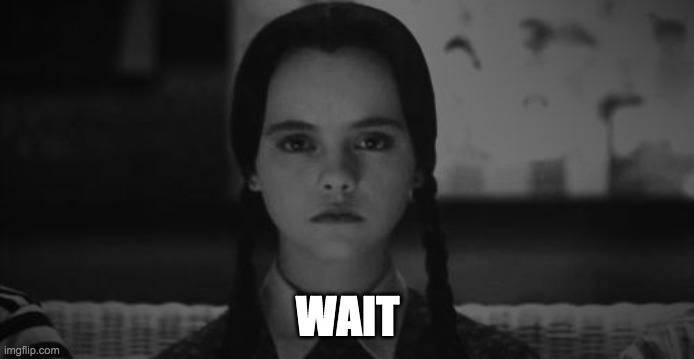 Wednesday Addams | WAIT | image tagged in wednesday addams | made w/ Imgflip meme maker