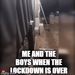 Me and the boys when the lockdown is over - Imgflip
