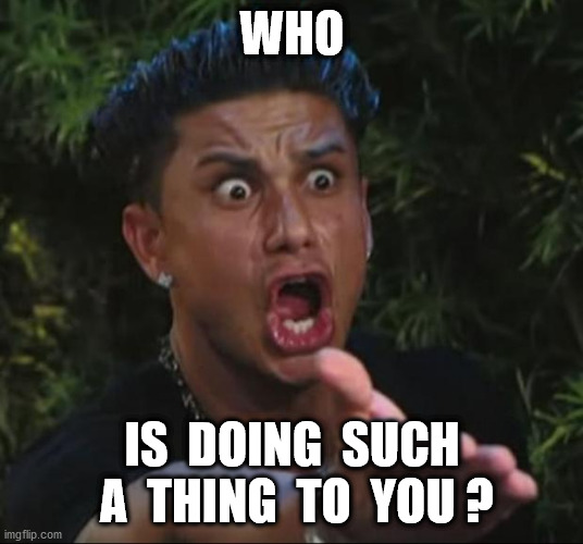 DJ Pauly D Meme | WHO IS  DOING  SUCH  A  THING  TO  YOU ? | image tagged in memes,dj pauly d | made w/ Imgflip meme maker