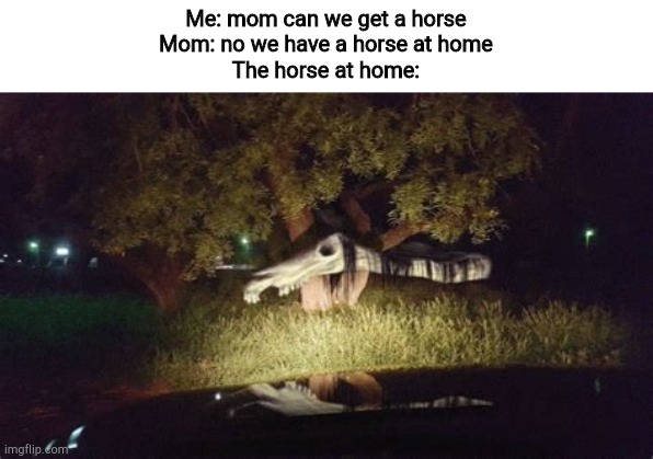 Long horse | Me: mom can we get a horse
Mom: no we have a horse at home
The horse at home: | image tagged in long horse | made w/ Imgflip meme maker
