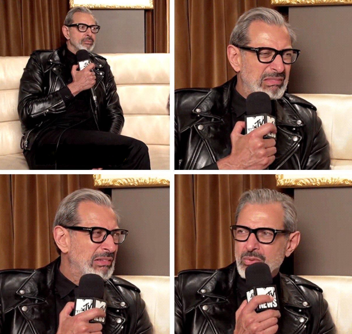 High Quality Jeff Goldblum What's the difference Blank Meme Template