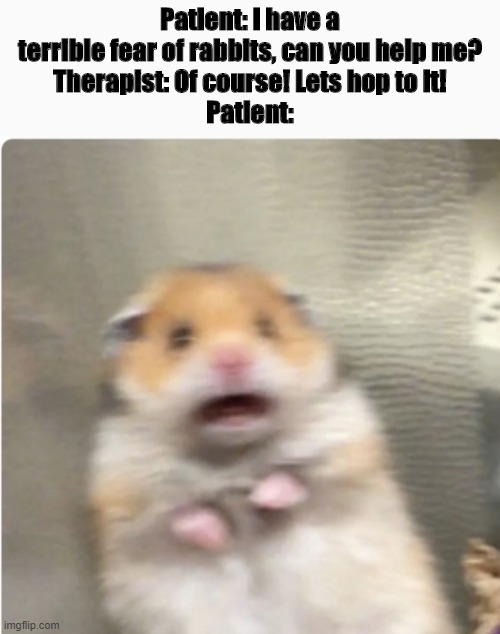 Perhaps 'hop to it' was not the best phrase to use | Patient: I have a terrible fear of rabbits, can you help me?
Therapist: Of course! Lets hop to it!
Patient: | image tagged in paniked hamster | made w/ Imgflip meme maker