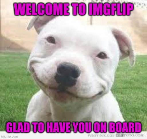 Happy Friday Puppy | WELCOME TO IMGFLIP GLAD TO HAVE YOU ON BOARD | image tagged in happy friday puppy | made w/ Imgflip meme maker