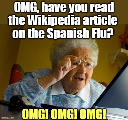 Fully one quarter of the world's population got infected and up to 100 million died. | image tagged in memes,grandma finds the internet,coronavirus,covid-19,pandemic,epidemic | made w/ Imgflip meme maker