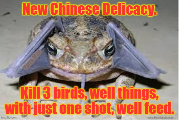 Corona China Cane Toads | New Chinese Delicacy. Yarra Man; Kill 3 birds, well things, with just one shot, well feed. | image tagged in corona china cane toads | made w/ Imgflip meme maker