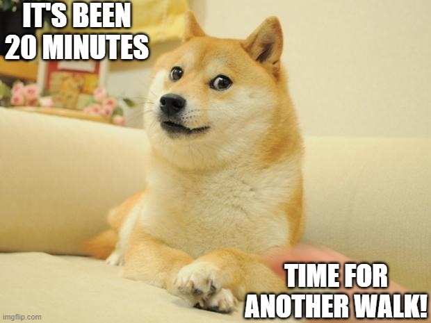 Doge 2 | IT'S BEEN 20 MINUTES; TIME FOR ANOTHER WALK! | image tagged in memes,doge 2 | made w/ Imgflip meme maker