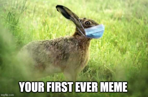 Corona Bunny | YOUR FIRST EVER MEME | image tagged in corona bunny | made w/ Imgflip meme maker
