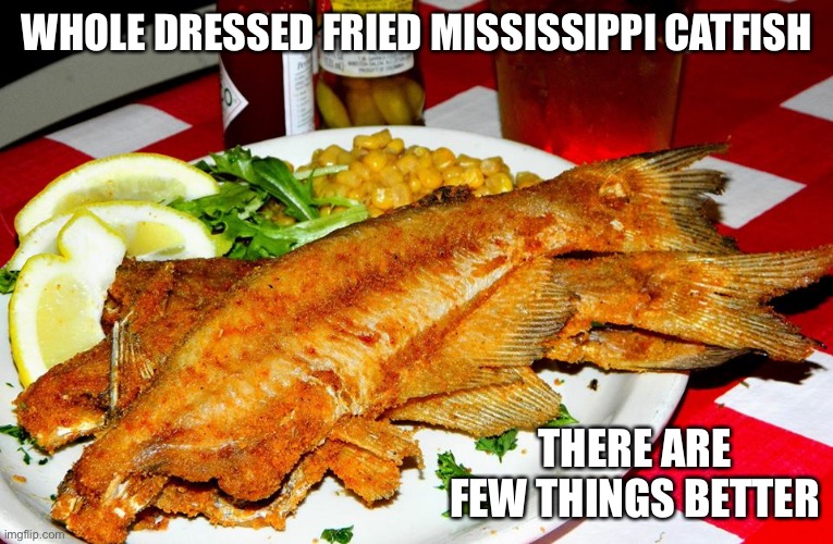 WHOLE DRESSED FRIED MISSISSIPPI CATFISH; THERE ARE FEW THINGS BETTER | made w/ Imgflip meme maker