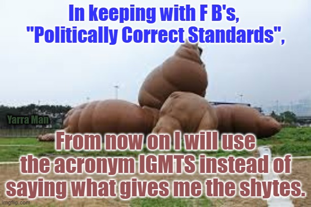 PC Shytes | In keeping with F B's,  "Politically Correct Standards", Yarra Man; From now on I will use the acronym IGMTS instead of saying what gives me the shytes. | image tagged in pc shytes | made w/ Imgflip meme maker