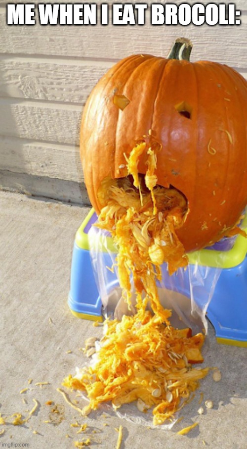 Pumpkin | ME WHEN I EAT BROCOLI:; ;-;
;-;
;-;
;-;
;-;
;-; | image tagged in pumpkin | made w/ Imgflip meme maker