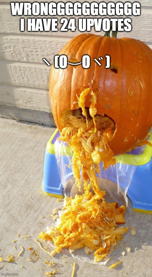 Pumpkin | WRONGGGGGGGGGGG I HAVE 24 UPVOTES ヽ(O⌣Oヾ) | image tagged in pumpkin | made w/ Imgflip meme maker