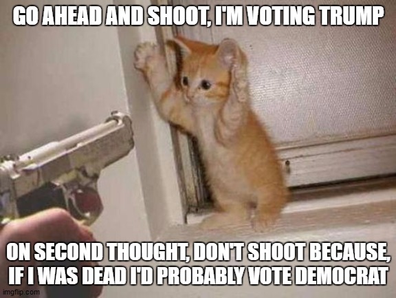 Just saying | GO AHEAD AND SHOOT, I'M VOTING TRUMP; ON SECOND THOUGHT, DON'T SHOOT BECAUSE, IF I WAS DEAD I'D PROBABLY VOTE DEMOCRAT | image tagged in cat robbery,democrats,republicans,donald trump,random | made w/ Imgflip meme maker
