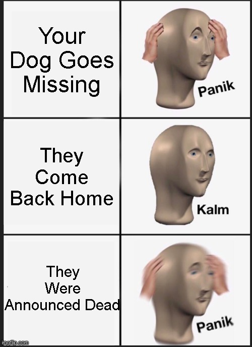 Panik Kalm Panik | Your Dog Goes Missing; They Come Back Home; They Were Announced Dead | image tagged in memes,panik kalm panik | made w/ Imgflip meme maker