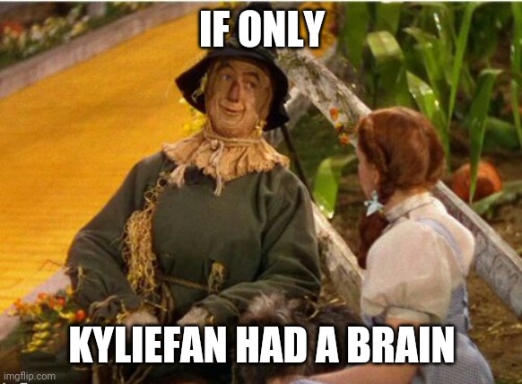 No brainer | IF ONLY KYLIEFAN HAD A BRAIN | image tagged in no brainer | made w/ Imgflip meme maker