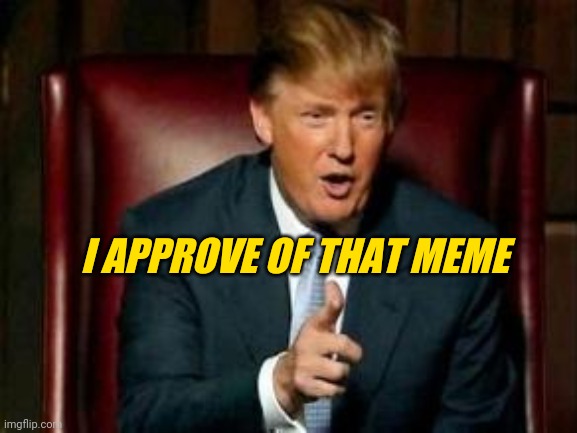 Trump Approves of Your Meme | I APPROVE OF THAT MEME | image tagged in donald trump,approves,meme,fire | made w/ Imgflip meme maker