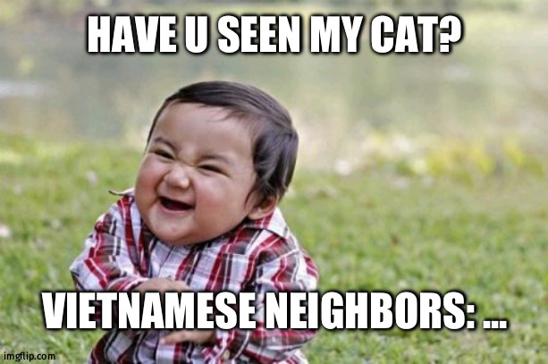 Evil Toddler Meme | HAVE U SEEN MY CAT? VIETNAMESE NEIGHBORS: ... | image tagged in memes,evil toddler | made w/ Imgflip meme maker