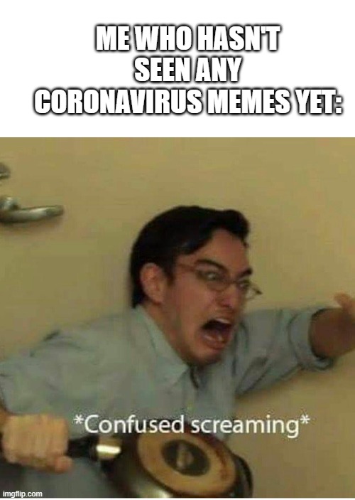 confused screaming | ME WHO HASN'T SEEN ANY CORONAVIRUS MEMES YET: | image tagged in confused screaming | made w/ Imgflip meme maker
