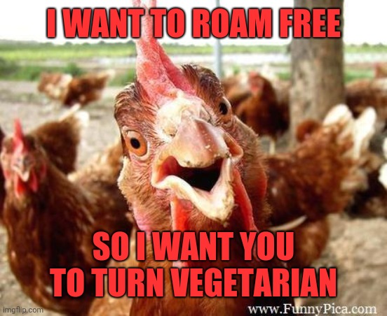 Chicken Revolution | I WANT TO ROAM FREE; SO I WANT YOU TO TURN VEGETARIAN | image tagged in chicken,revolution | made w/ Imgflip meme maker