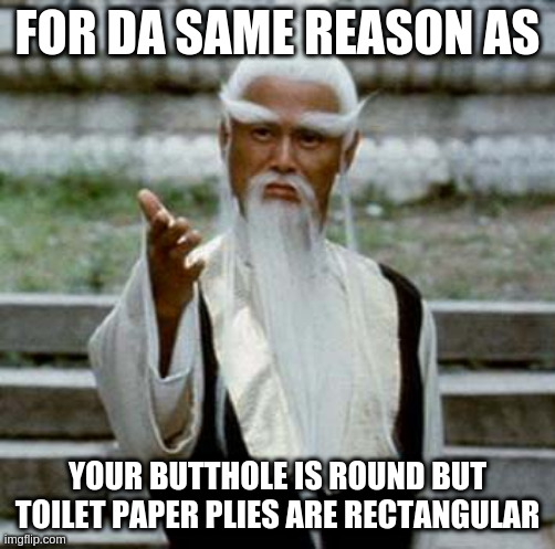 Asian Old Wise Man | FOR DA SAME REASON AS YOUR BUTTHOLE IS ROUND BUT TOILET PAPER PLIES ARE RECTANGULAR | image tagged in asian old wise man | made w/ Imgflip meme maker