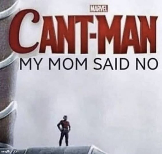 Favorite movie | image tagged in funny,ant man,movie | made w/ Imgflip meme maker