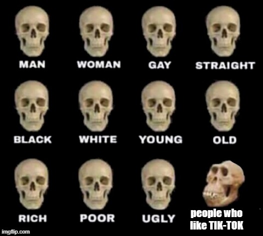 idiot skull | people who like TIK-TOK | image tagged in idiot skull | made w/ Imgflip meme maker