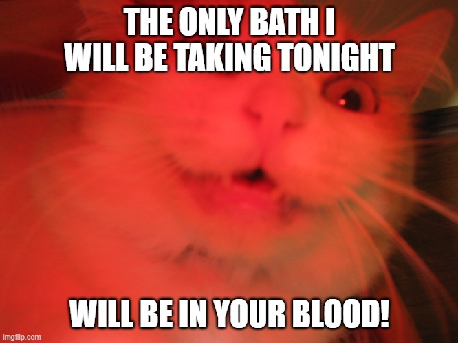 Demon cat | THE ONLY BATH I WILL BE TAKING TONIGHT; WILL BE IN YOUR BLOOD! | image tagged in demon cat,revenge,vengeance,evil cat,anger,funny cats | made w/ Imgflip meme maker