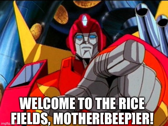 Who Made This Meme? | WELCOME TO THE RICE FIELDS, MOTHER[BEEP]ER! | image tagged in rodimus prime pointing at galvatron,memes,transformers g1,rodimus prime | made w/ Imgflip meme maker