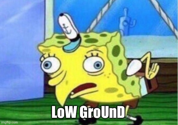 Mocking Spongebob Meme | LoW GroUnD | image tagged in memes,mocking spongebob | made w/ Imgflip meme maker