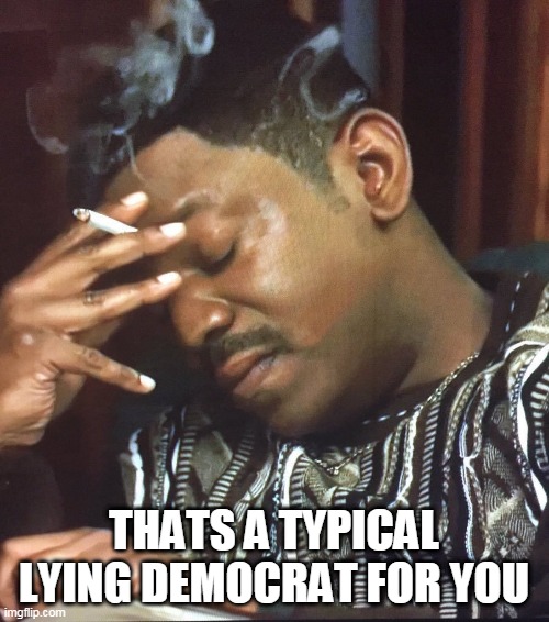 Mekhi Phifer | THATS A TYPICAL LYING DEMOCRAT FOR YOU | image tagged in mekhi phifer | made w/ Imgflip meme maker