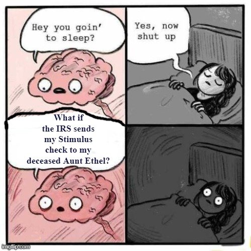When your brain won't go to sleep! | What if the IRS sends my Stimulus check to my deceased Aunt Ethel? | image tagged in hey you going to sleep,stimulus | made w/ Imgflip meme maker