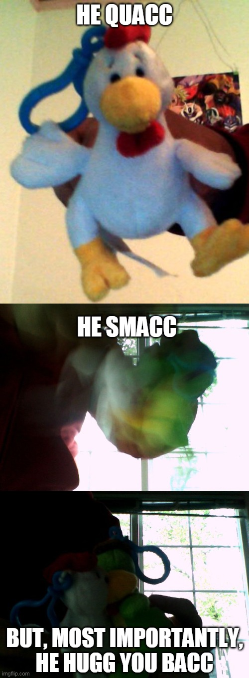 HE QUACC; HE SMACC; BUT, MOST IMPORTANTLY, HE HUGG YOU BACC | image tagged in socially awkward webkinz chicken | made w/ Imgflip meme maker