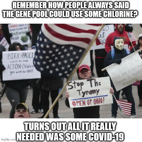 well at least there sort of helping to keep america great | REMEMBER HOW PEOPLE ALWAYS SAID THE GENE POOL COULD USE SOME CHLORINE? TURNS OUT ALL IT REALLY NEEDED WAS SOME COVID-19 | image tagged in covid-19,protesters,special kind of stupid | made w/ Imgflip meme maker