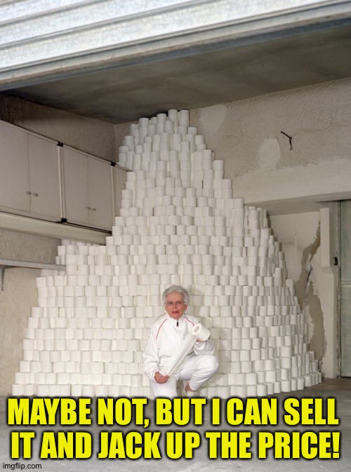 mountain of toilet paper | MAYBE NOT, BUT I CAN SELL 
IT AND JACK UP THE PRICE! | image tagged in mountain of toilet paper | made w/ Imgflip meme maker