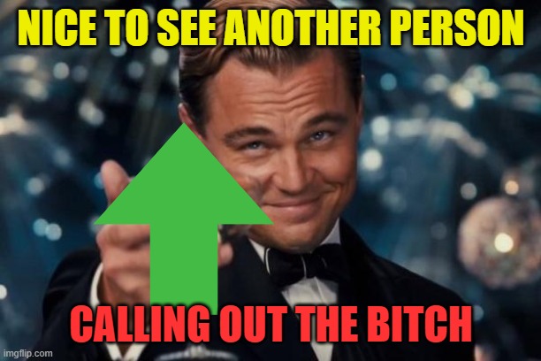 Leonardo Dicaprio Cheers Meme | NICE TO SEE ANOTHER PERSON CALLING OUT THE BITCH | image tagged in memes,leonardo dicaprio cheers | made w/ Imgflip meme maker