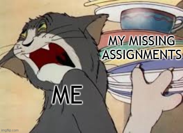 tom and jerry | MY MISSING ASSIGNMENTS; ME | image tagged in tom and jerry | made w/ Imgflip meme maker