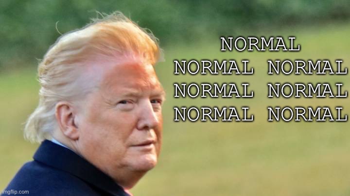 Trump the Normal | NORMAL NORMAL NORMAL NORMAL NORMAL NORMAL NORMAL | image tagged in trump the normal | made w/ Imgflip meme maker