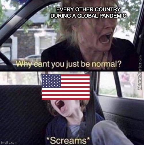 Just stay inside you dumbasses. |  EVERY OTHER COUNTRY DURING A GLOBAL PANDEMIC | image tagged in why can't you just be normal,coronavirus | made w/ Imgflip meme maker