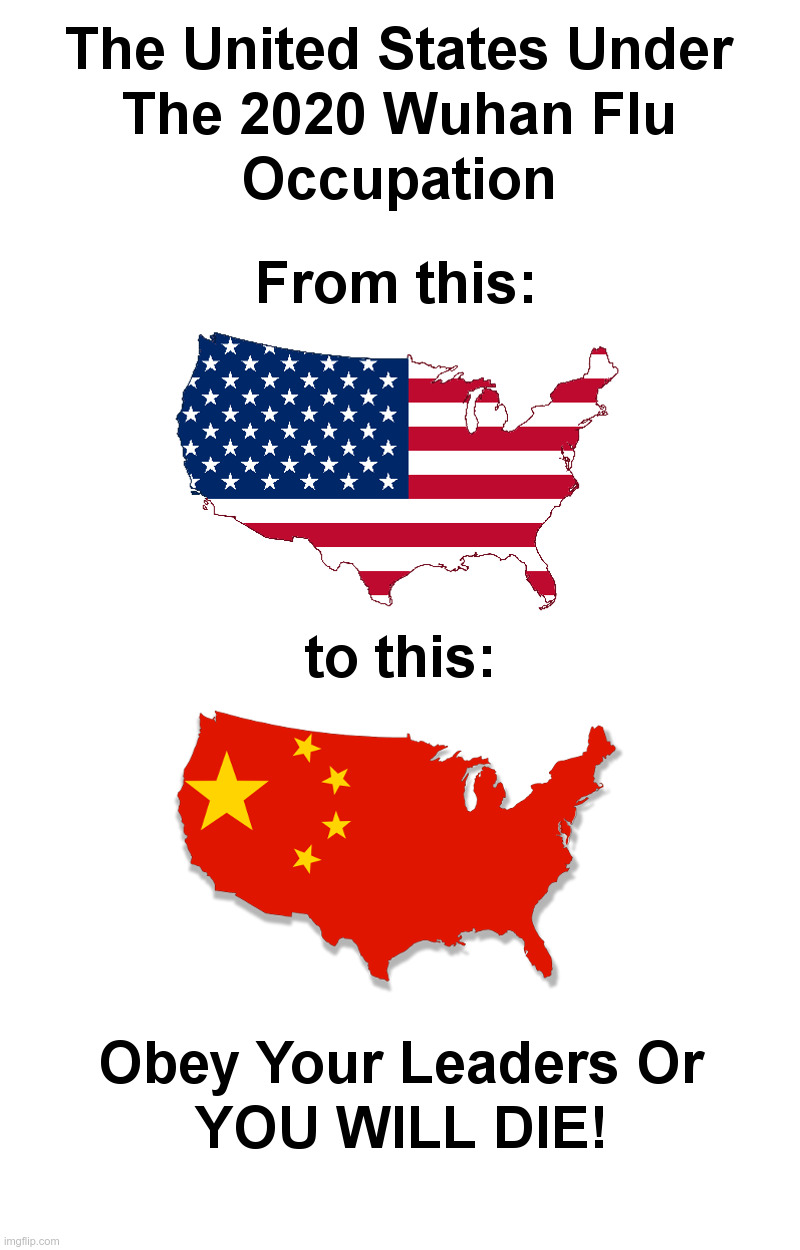 The Wuhan Flu Occupation | image tagged in wuhan,flu,made in china,usa,coronavirus,government shutdown | made w/ Imgflip meme maker