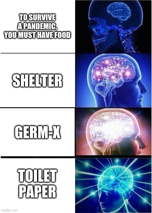 Expanding Brain Meme | TO SURVIVE A PANDEMIC, YOU MUST HAVE FOOD; SHELTER; GERM-X; TOILET PAPER | image tagged in memes,expanding brain,covid,19,corona,virus | made w/ Imgflip meme maker